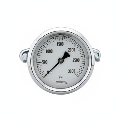 NOSHOK 25-310-600-PSI/KPA-SST-BT8