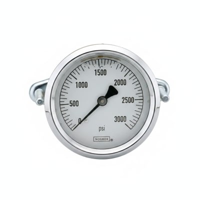 NOSHOK 25-310-600-PSI/KPA-SST-MIP-BT8-CC