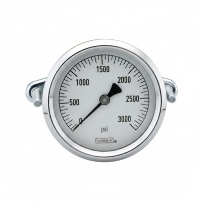 NOSHOK 25-310-600-PSI/KPA-SST-MIP-BFF-BT8-CC