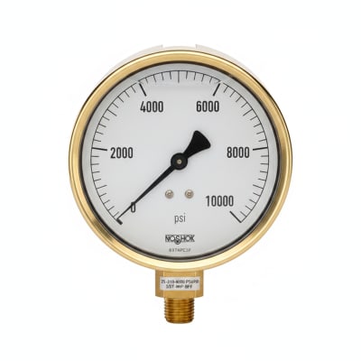 NOSHOK 25-310-6000-PSI/BAR-SST-MIP-BFF