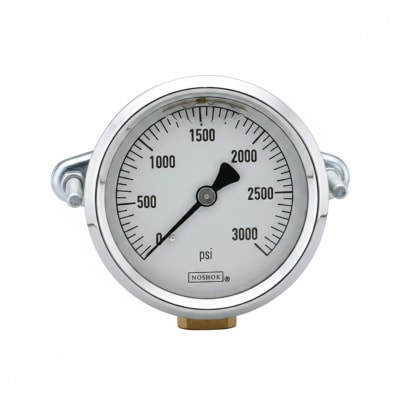 NOSHOK 25-310-600-PSI/KPA-SST-MIP-BFF-BT8