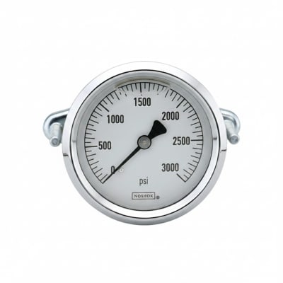 NOSHOK 25-310-6000-PSI/BAR-SST-BFF