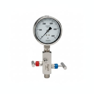 NOSHOK 25-310-6000-PSI/BAR-SST-MIP