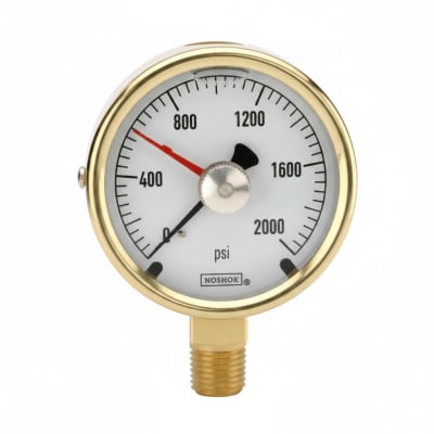 NOSHOK 25-310-6000-PSI/BAR-SST-CFF-BT8-CC