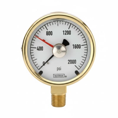 NOSHOK 25-310-6000-PSI/BAR-SST-CFF-BT8