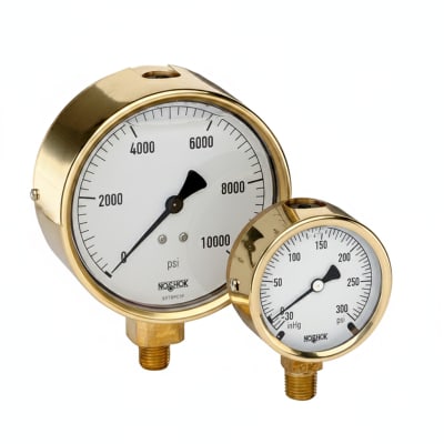 NOSHOK 25-310-6000-PSI/BAR-SST-MIP-CC