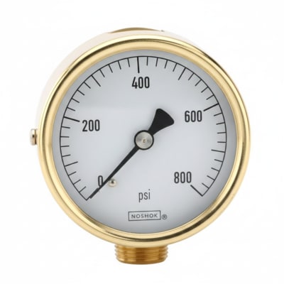 NOSHOK 25-310-600-PSI/KPA-SST-MIP-CBU-CC