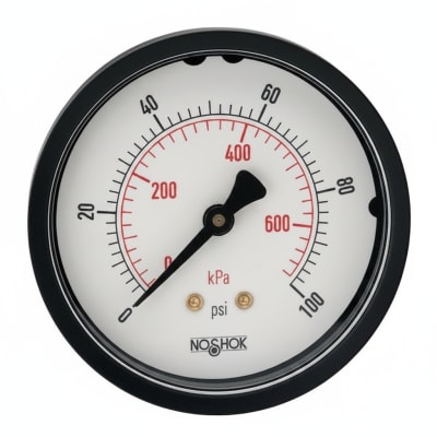 NOSHOK 25-310-6000-PSI/KPA-SST-CBU-CC