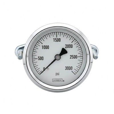 NOSHOK 25-310-600-PSI/BAR-SST-MIP-CC