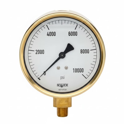 NOSHOK 25-310-6000-PSI/KG/CM2-SST-MIP-BFF-BT8