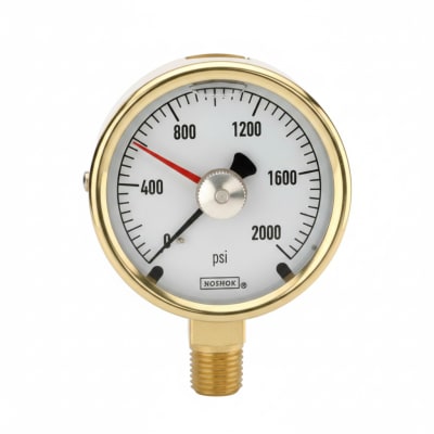 NOSHOK 25-310-6000-PSI/KPA-SST-MIP-CBU-BT8