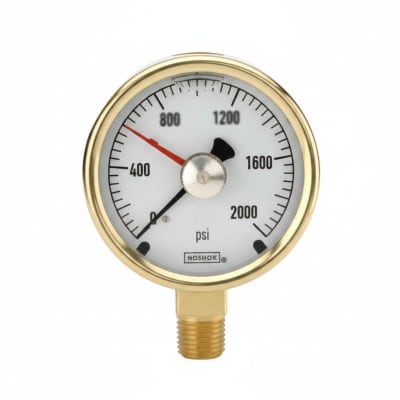 NOSHOK 25-310-6000-PSI/KPA-SST-MIP-BT8