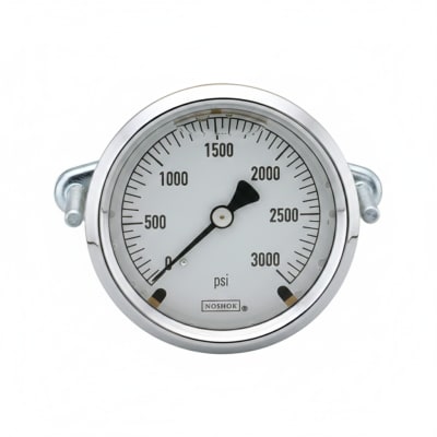 NOSHOK 25-310-6000-PSI/KPA-SST-MIP-BT8-CC
