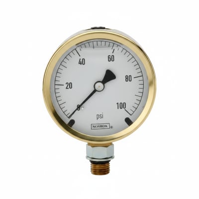 NOSHOK 25-300-60-PSI-SST-CFF-BT8-CC