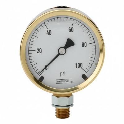 NOSHOK 25-300-60-PSI-SST-CFF-BT8