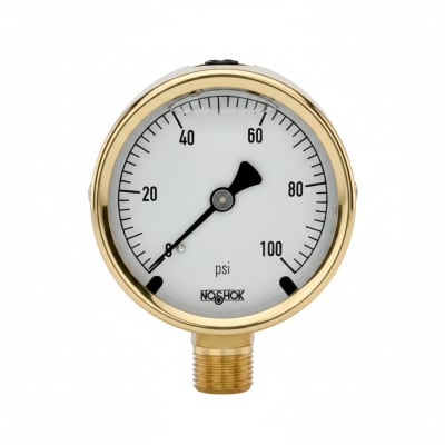 NOSHOK 25-310-400-PSI-SST-MIP-BFF