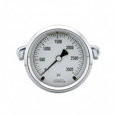 NOSHOK 25-310-3000-PSI/KPA-SST-MIP-BT8-CC