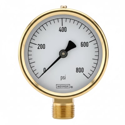 NOSHOK 25-310-60-PSI-SST-MIP-CBU-BT8-CC