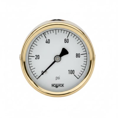 NOSHOK 25-310-400-PSI-SST-MIP-CFF-CC