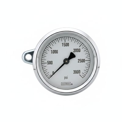 NOSHOK 25-310-3000-PSI/KPA-SST-MIP-CBU-BT8-CC