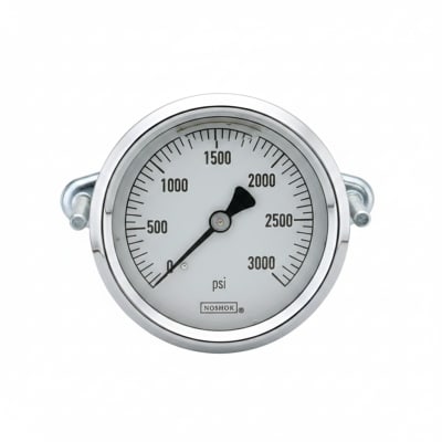 NOSHOK 25-310-60-PSI-SST-MIP-CBU-CC