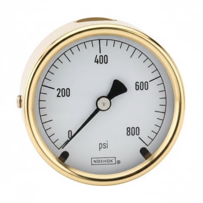 NOSHOK 25-310-60-PSI-SST-MIP-BFF-BT8