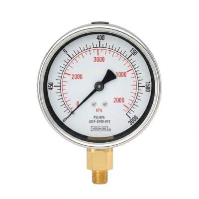 NOSHOK 25-911-15-PSI/KPA-SSFF-GY40-BP3