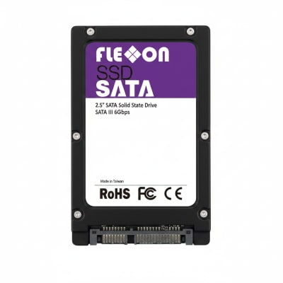 FLEXXON FSSE004GSE-M100