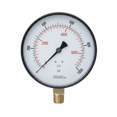NOSHOK 25-300-15-PSI-BFF-MIP