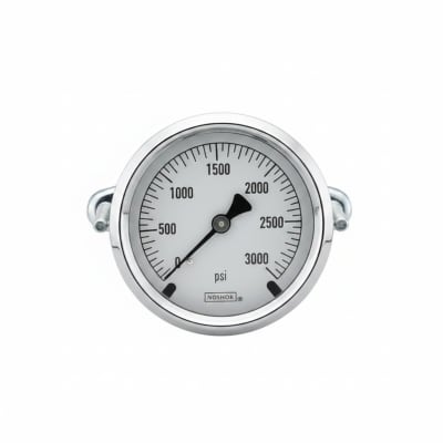 NOSHOK 25-300-15-PSI-BFF-MIP-BT8