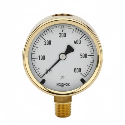 NOSHOK 25-300-15-PSI/BAR-CFF-BT8