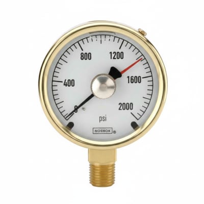 NOSHOK 25-300-15-PSI/BAR-CFF-MIP