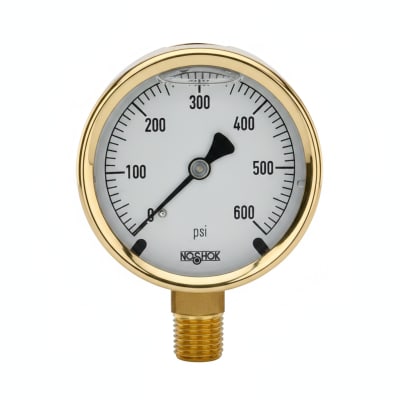 NOSHOK 25-300-1500-PSI-BFF-MIP-BT8-CC