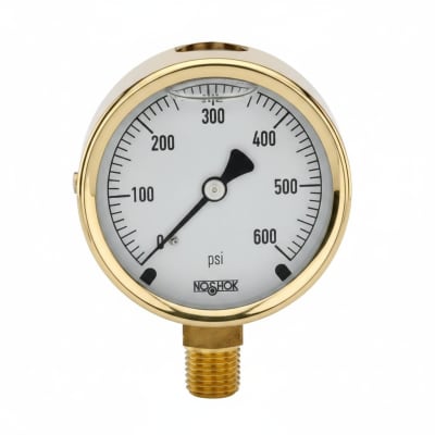 NOSHOK 25-300-15-PSI-BFF-MIP-BT8-CC
