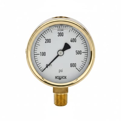 NOSHOK 25-300-15-PSI/KG/CM2-CFF-CC