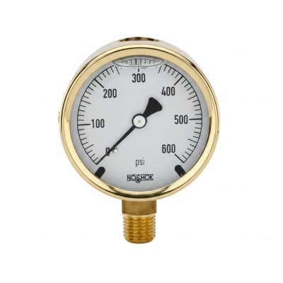NOSHOK 25-300-15-PSI/KG/CM2-BFF