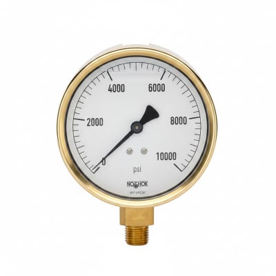 NOSHOK 25-300-1500-PSI/BAR-BFF-CC