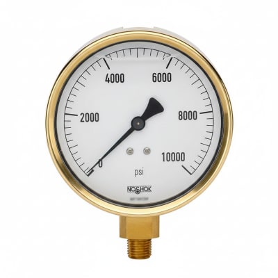 NOSHOK 25-300-1500-PSI/KG/CM2-CFF-BT8