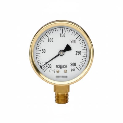 NOSHOK 25-300-1500-PSI/KPA-CFF-MIP-BT8-CC
