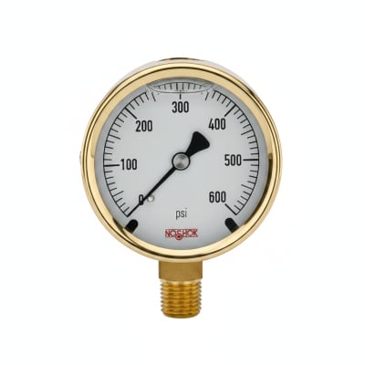 NOSHOK 25-310-30-VAC-SST-CFF-BT8