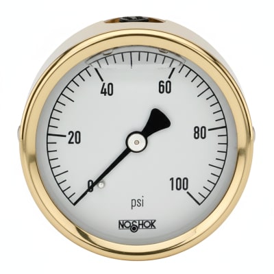 NOSHOK 25-310-30-VAC-SST-MIP-CBU-CC