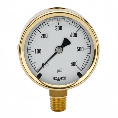 NOSHOK 25-300-1500-PSI-CFF-MIP-BT8