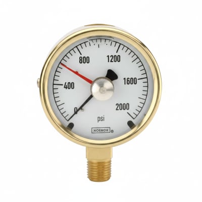 NOSHOK 25-300-15-PSI/KG/CM2-BFF-MIP-BT8-CC