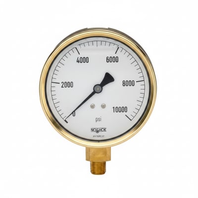 NOSHOK 25-310-30-VAC-SST-MIP-CBU-BT8
