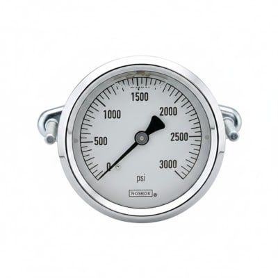 NOSHOK 25-310-30-VAC-SST-MIP-BFF