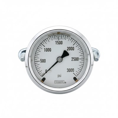 NOSHOK 25-310-30-VAC/KPA-SST-MIP-BFF-BT8