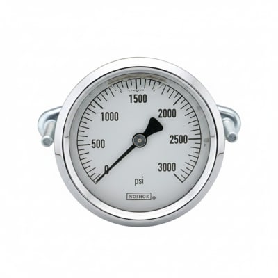 NOSHOK 25-310-30-VAC/KG/CM2-SST-MIP-BFF