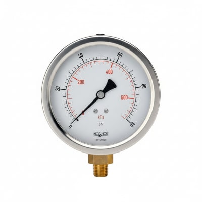 NOSHOK 25-310-30-VAC-SST-MIP-CFF-CC