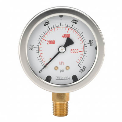 NOSHOK 40-410-60-PSI/BAR-AP-SSFF-CC