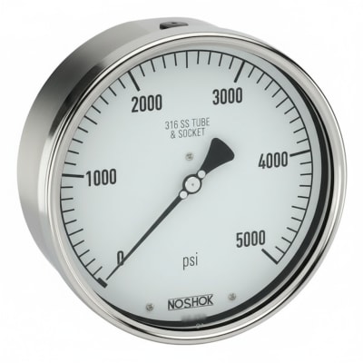 NOSHOK 40-410-60-PSI/KPA-AP-SG-SSRF-CC
